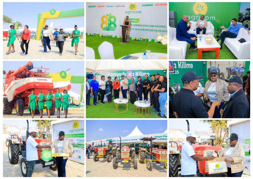 361 Degrees Africa - MICE