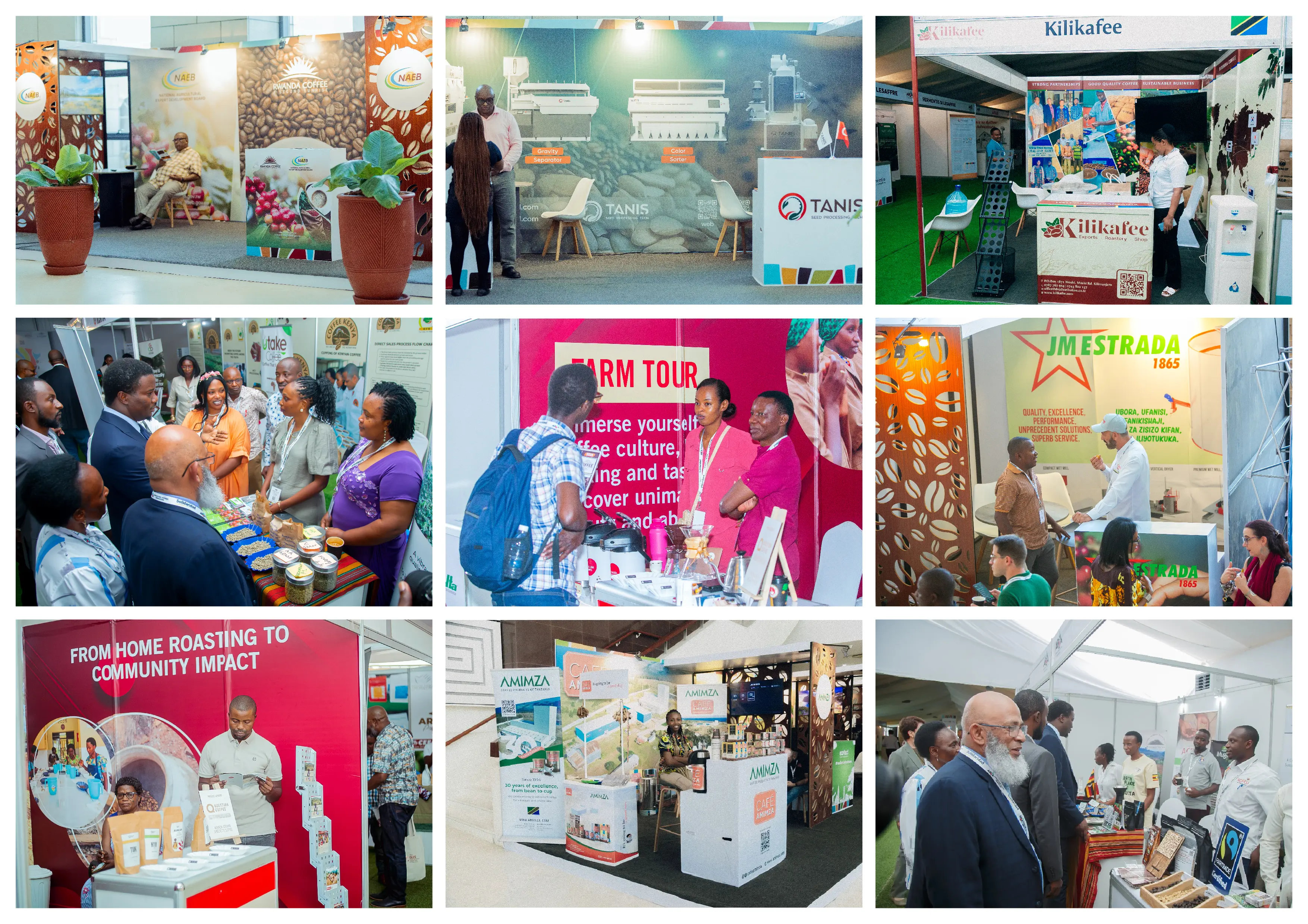 361 Degrees Africa - MICE